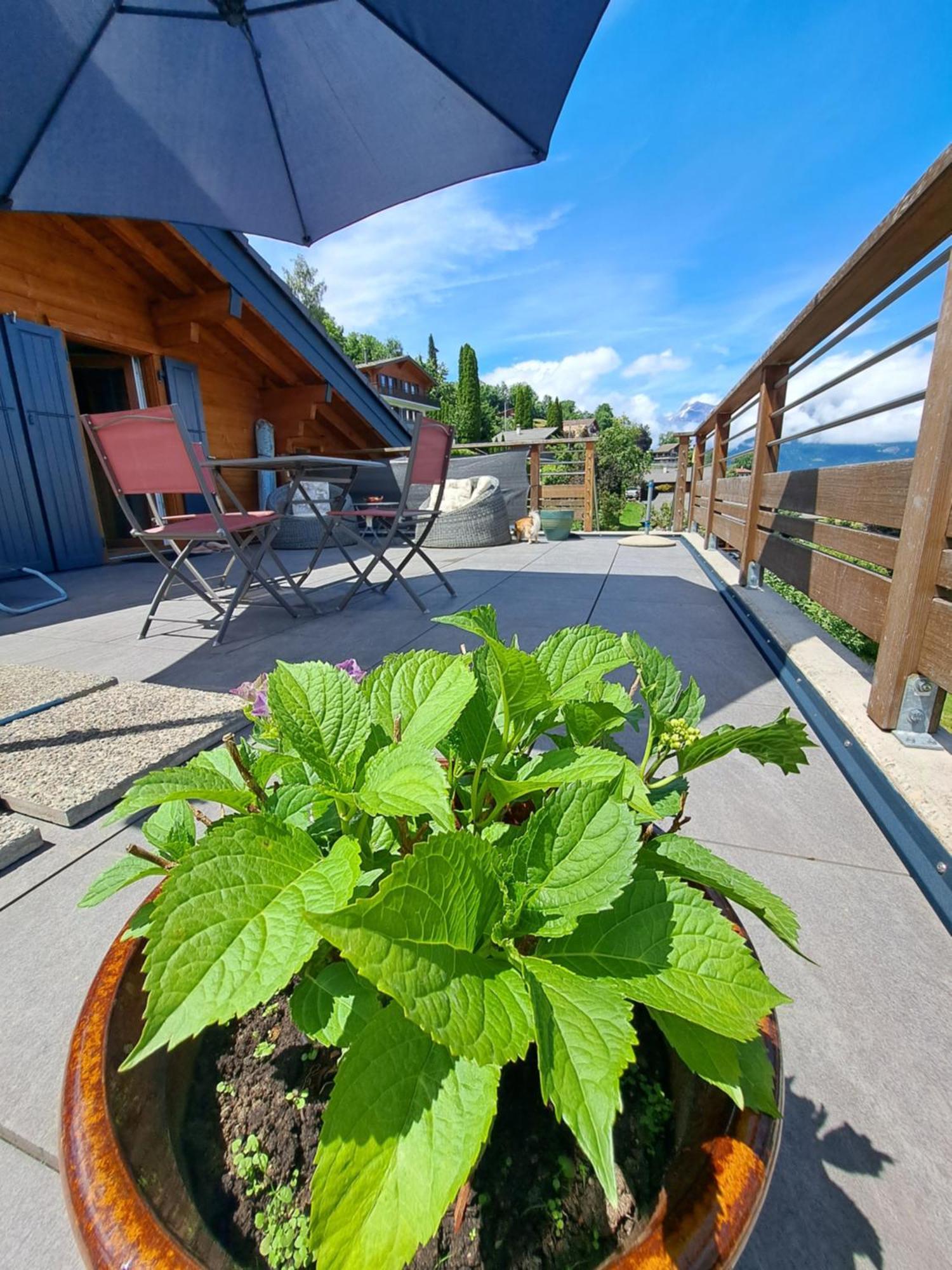 Alt'O Martinets Casa de hóspedes Nendaz Exterior foto